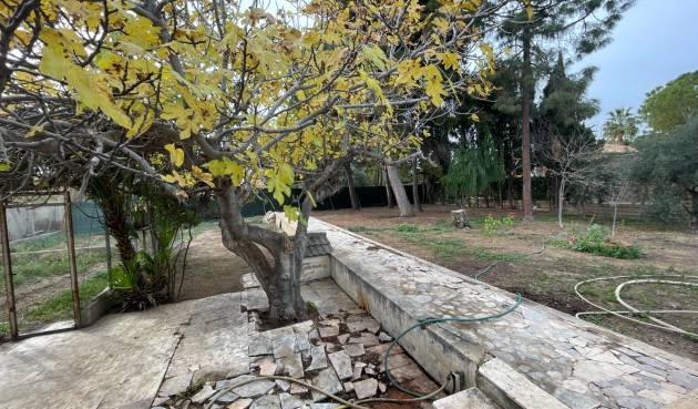 Brukt - Villa -
Elche - Costa Blanca