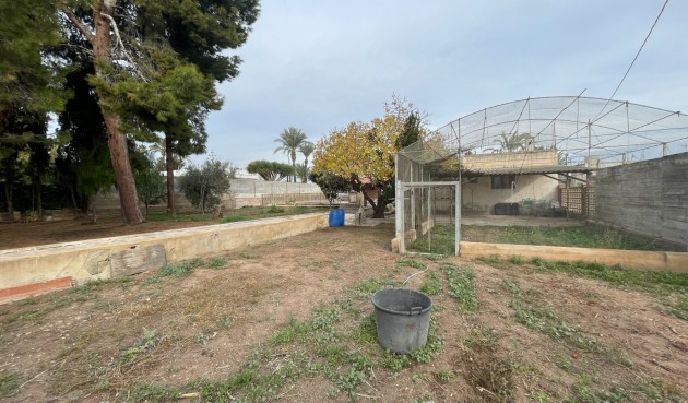 Brukt - Villa -
Elche - Costa Blanca