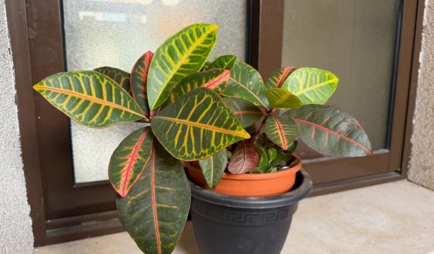 Brukt - Apartment -
Orihuela Costa - Las Ramblas