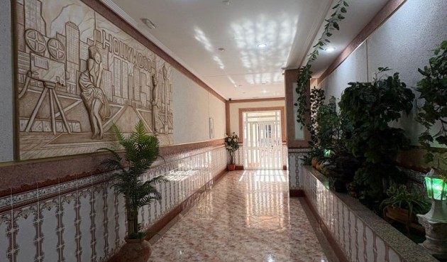 Brukt - Apartment -
Torrevieja - Costa Blanca