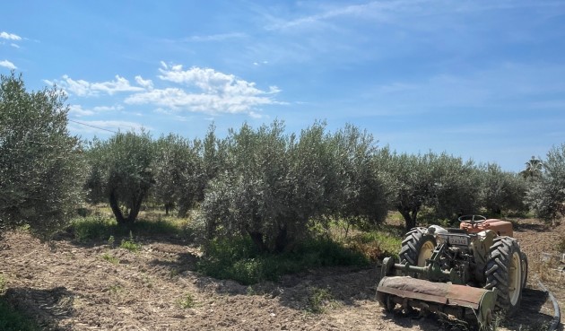 Reventa - Villa -
Crevillent - Inland