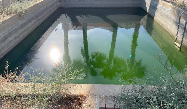 Reventa - Villa -
Crevillent - Inland