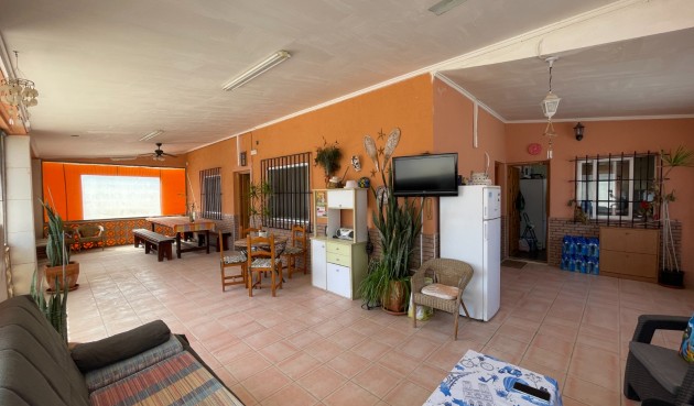 Brukt - Villa -
Guardamar del Segura - Costa Blanca