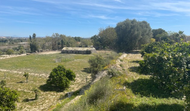 Brukt - Villa -
Guardamar del Segura - Costa Blanca