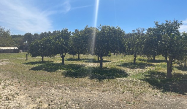 Brukt - Villa -
Guardamar del Segura - Costa Blanca