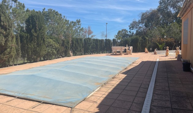 Brukt - Villa -
Guardamar del Segura - Costa Blanca