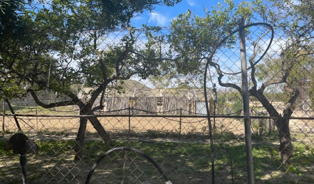 Brukt - Villa -
Guardamar del Segura - Costa Blanca