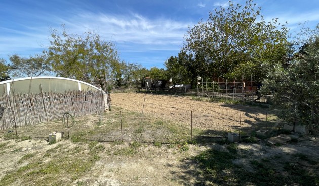 Brukt - Villa -
Guardamar del Segura - Costa Blanca