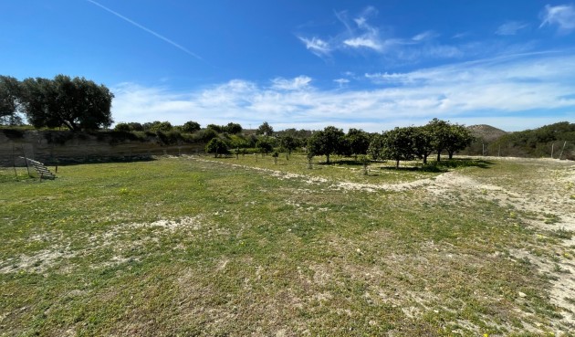 Brukt - Villa -
Guardamar del Segura - Costa Blanca