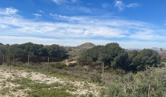 Brukt - Villa -
Guardamar del Segura - Costa Blanca