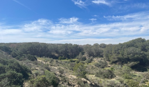 Brukt - Villa -
Guardamar del Segura - Costa Blanca