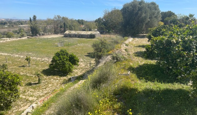 Brukt - Villa -
Guardamar del Segura - Costa Blanca