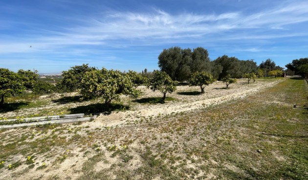 Brukt - Villa -
Guardamar del Segura - Costa Blanca