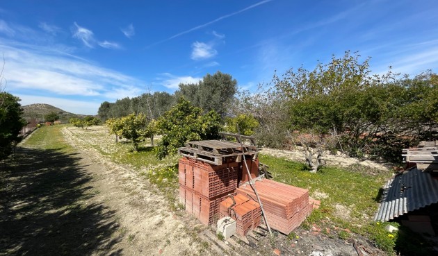 Brukt - Villa -
Guardamar del Segura - Costa Blanca