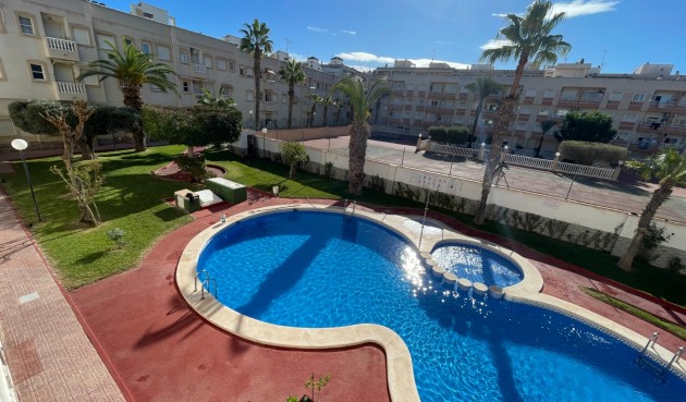 Brukt - Apartment -
Torrevieja - Costa Blanca