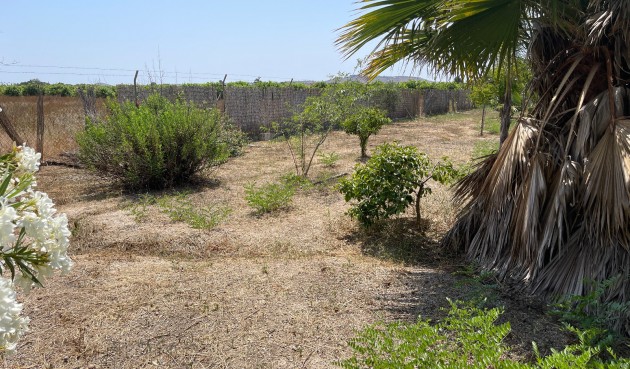 Resale - Villa -
Daya Nueva - Costa Blanca