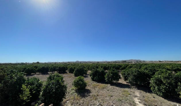 Brukt - Town House -
San Fulgencio - Costa Blanca