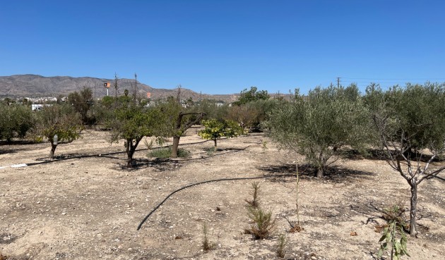 Brukt - Villa -
Crevillent - Inland