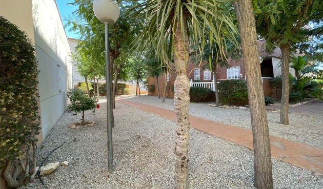 Brukt - Town House -
Elche - Costa Blanca