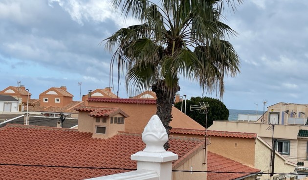 Brukt - Bungalow -
La Mata - Costa Blanca