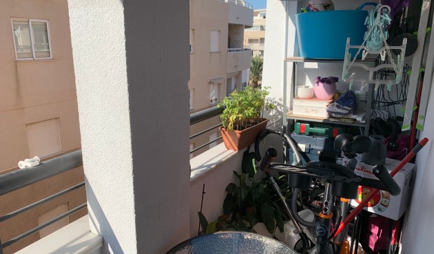 Reventa - Apartment -
Torrevieja - Costa Blanca