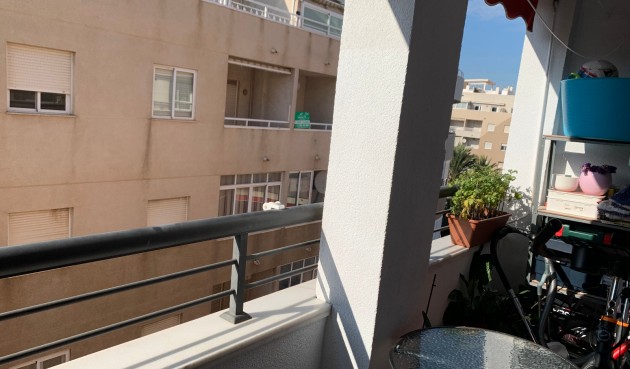 Reventa - Apartment -
Torrevieja - Costa Blanca