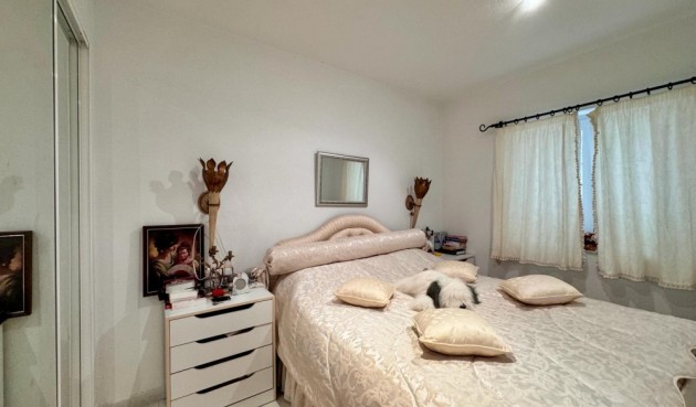 Brukt - Apartment -
Guardamar del Segura - Costa Blanca