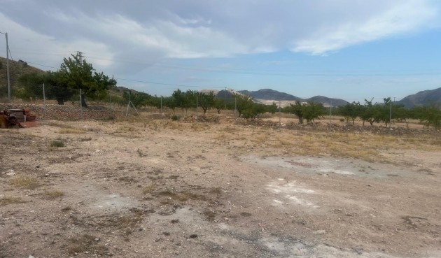 Brukt - Villa -
La Solana