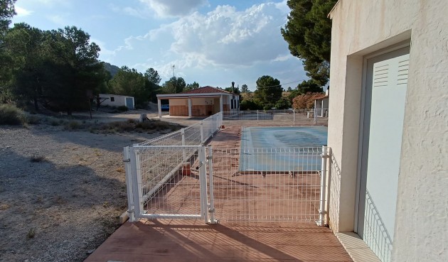 Brukt - Villa -
Yecla - Inland