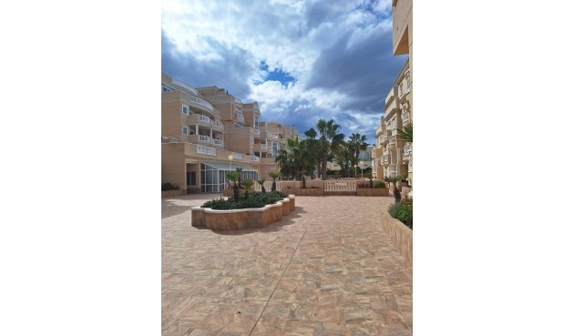 Brukt - Apartment -
Guardamar del Segura - Costa Blanca