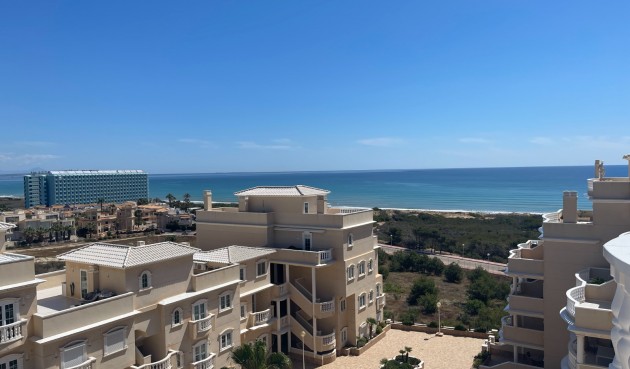 Brukt - Apartment -
Guardamar del Segura - Costa Blanca