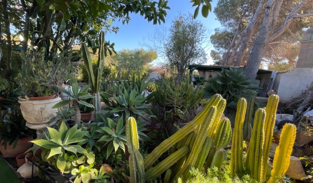 Brukt - Villa -
Orihuela Costa - Costa Blanca