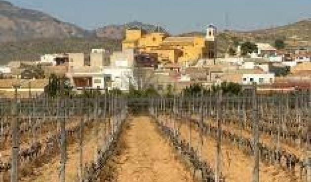 Nybygg - Bungalow -
Hondón de las Nieves - El Salero