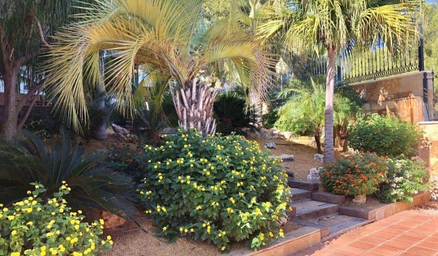 Resale - Villa -
El Palmar