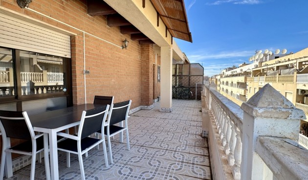 Brukt - Apartment -
Torrevieja - Costa Blanca