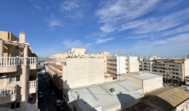 Brukt - Apartment -
Torrevieja - Costa Blanca