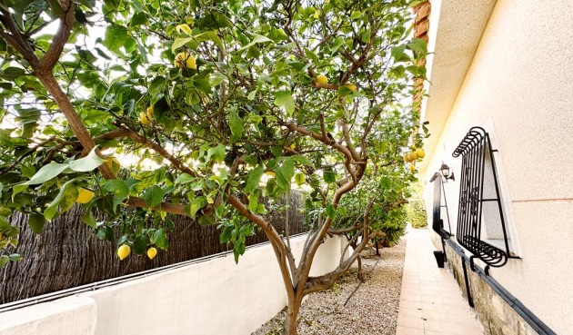 Brukt - Villa -
Lo Santiago - Inland