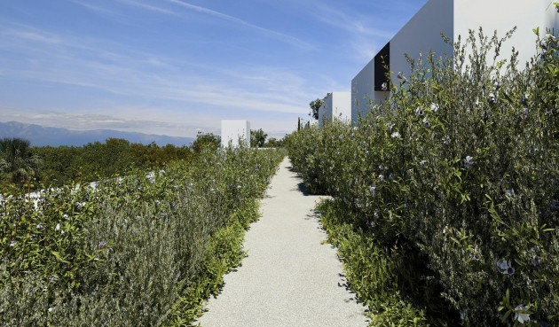 Obra nueva - Villa -
Alfas del Pí - Barranc Fondo