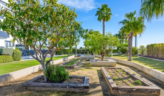 Brukt - Apartment -
Orihuela Costa - Costa Blanca