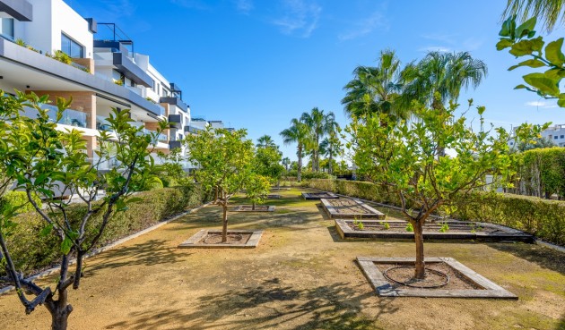 Brukt - Apartment -
Orihuela Costa - Costa Blanca