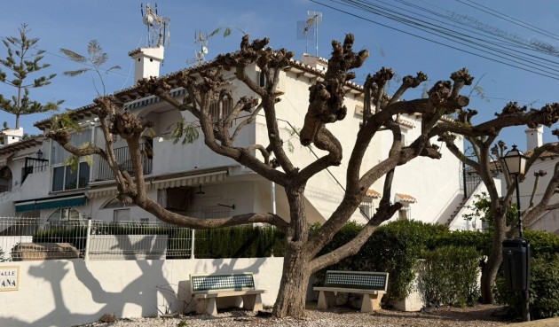 Brukt - Apartment -
Torrevieja - Los Balcones - Los Altos del Edén