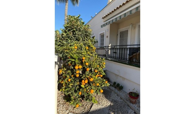 Brukt - Semi Detached -
Orihuela Costa - Playa Flamenca