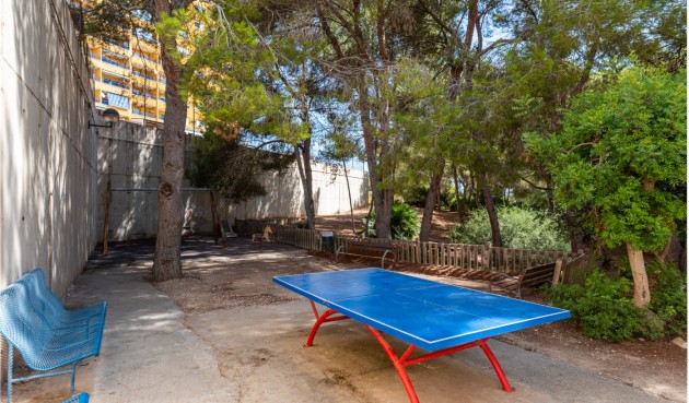 Brukt - Apartment -
Alicante - Costa Blanca