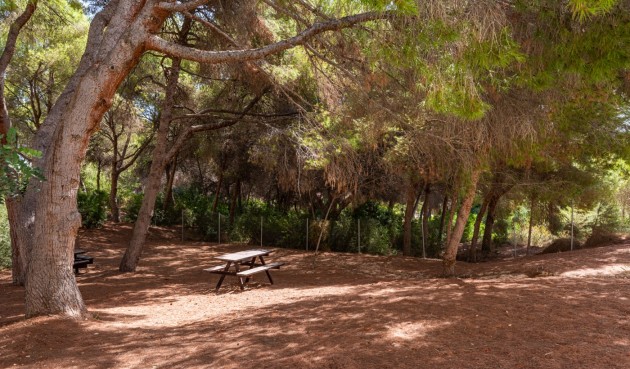 Brukt - Apartment -
Alicante - Costa Blanca