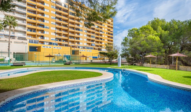 Brukt - Apartment -
Alicante - Costa Blanca