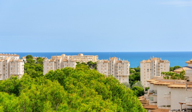 Brukt - Apartment -
Alicante - Costa Blanca