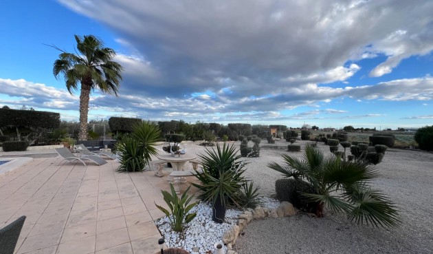 Brukt - Villa -
Dolores - Comunidad Valenciana