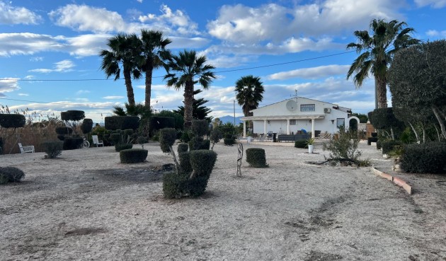 Brukt - Villa -
Dolores - Comunidad Valenciana