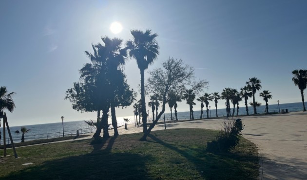 Korttidsleie - Apartment -
Orihuela Costa - La Zenia