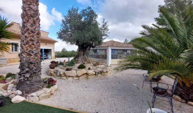 Brukt - Villa -
Abanilla - La Zarza